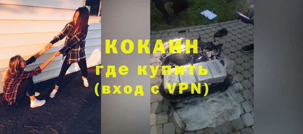бошки Каменка