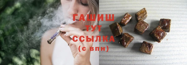 стаф Каменногорск
