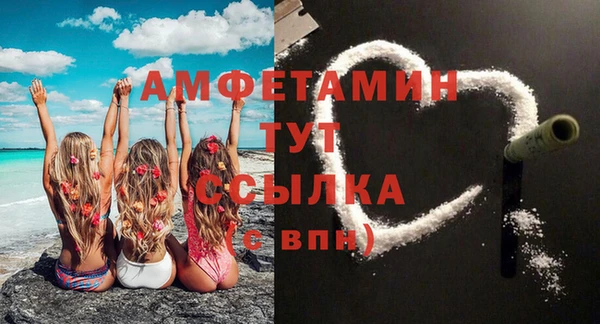 стаф Каменногорск