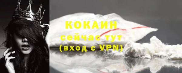 стаф Каменногорск