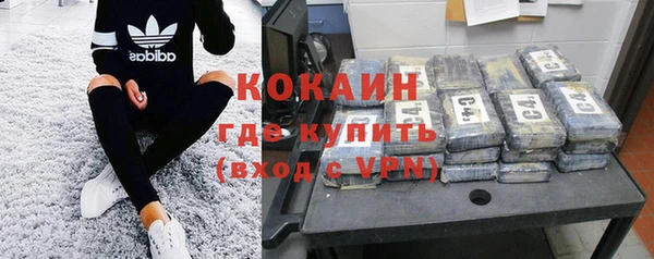 стаф Каменногорск