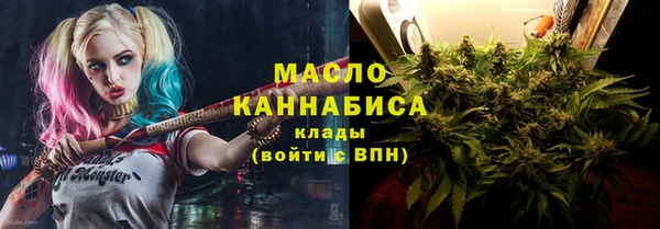 дмт Касимов
