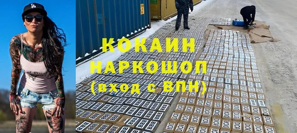 бошки Каменка