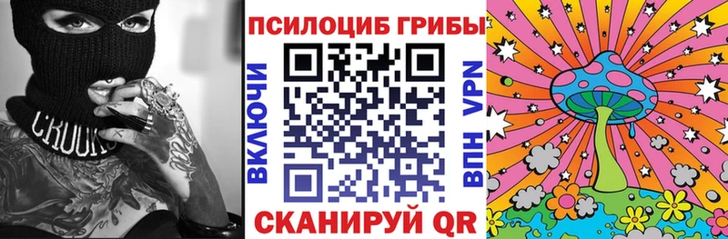 Купить закладки  Моздок  Галлюциногенные грибы Cubensis 